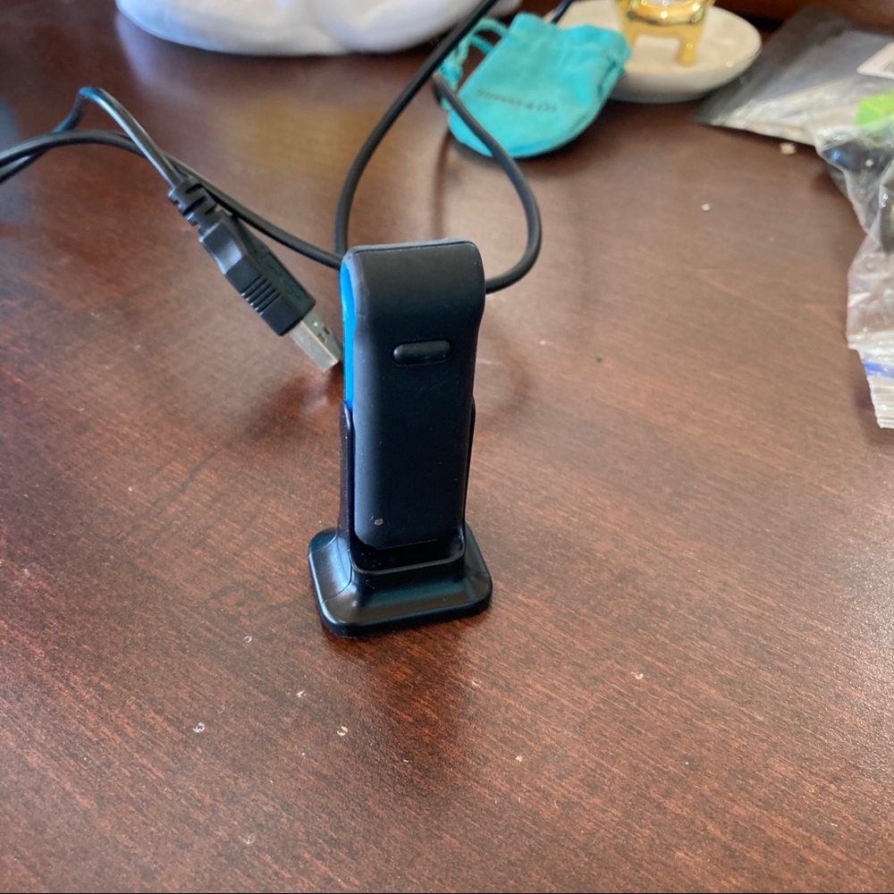 Original Fitbit
